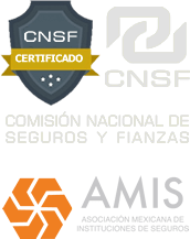 Certificado CNSF